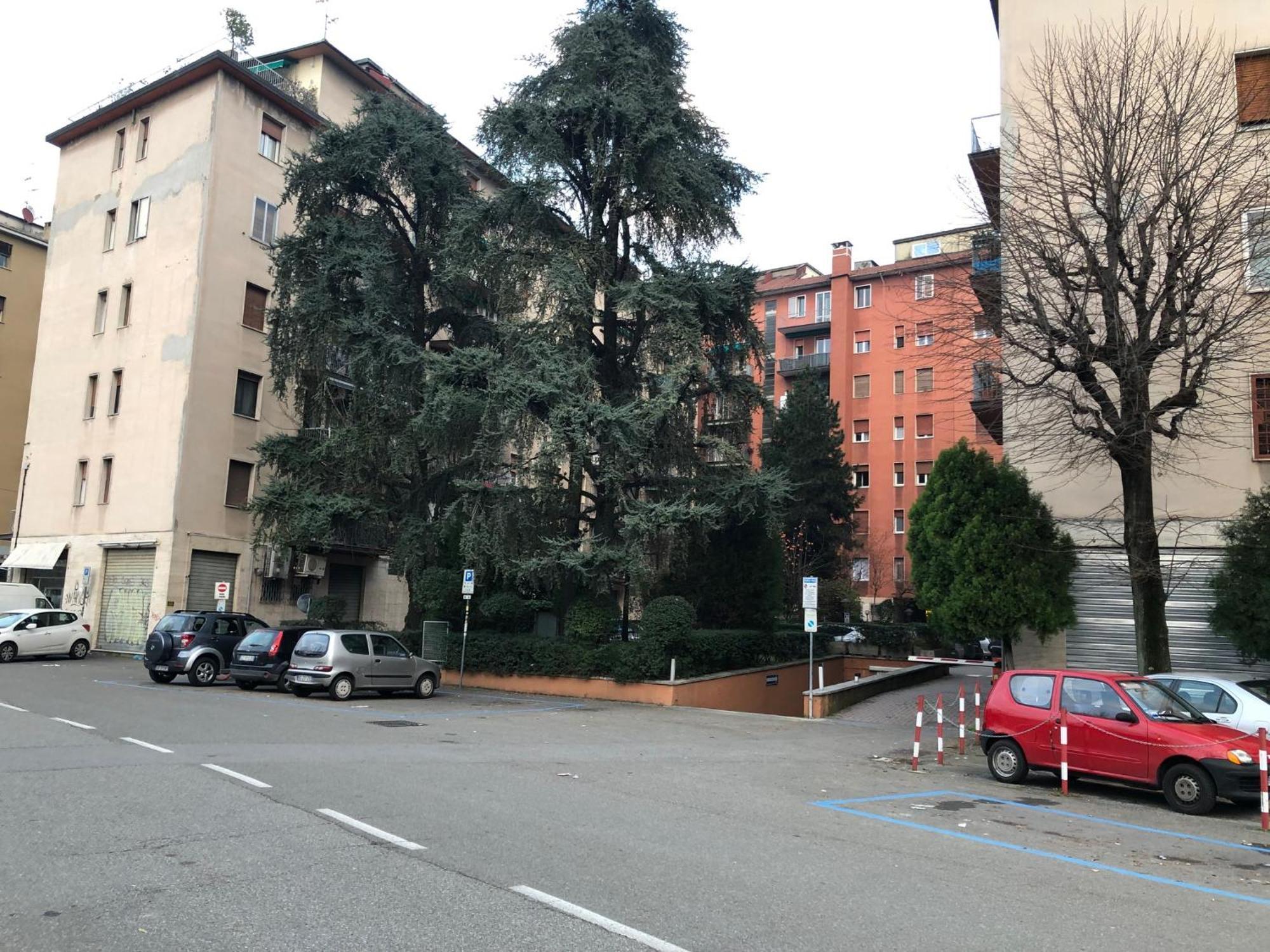 Tra Le Torri B&B - Ampia Stanza Privata In Appartamento Con Bagno Privato Accessibile Da Corridoio Bologna Ngoại thất bức ảnh